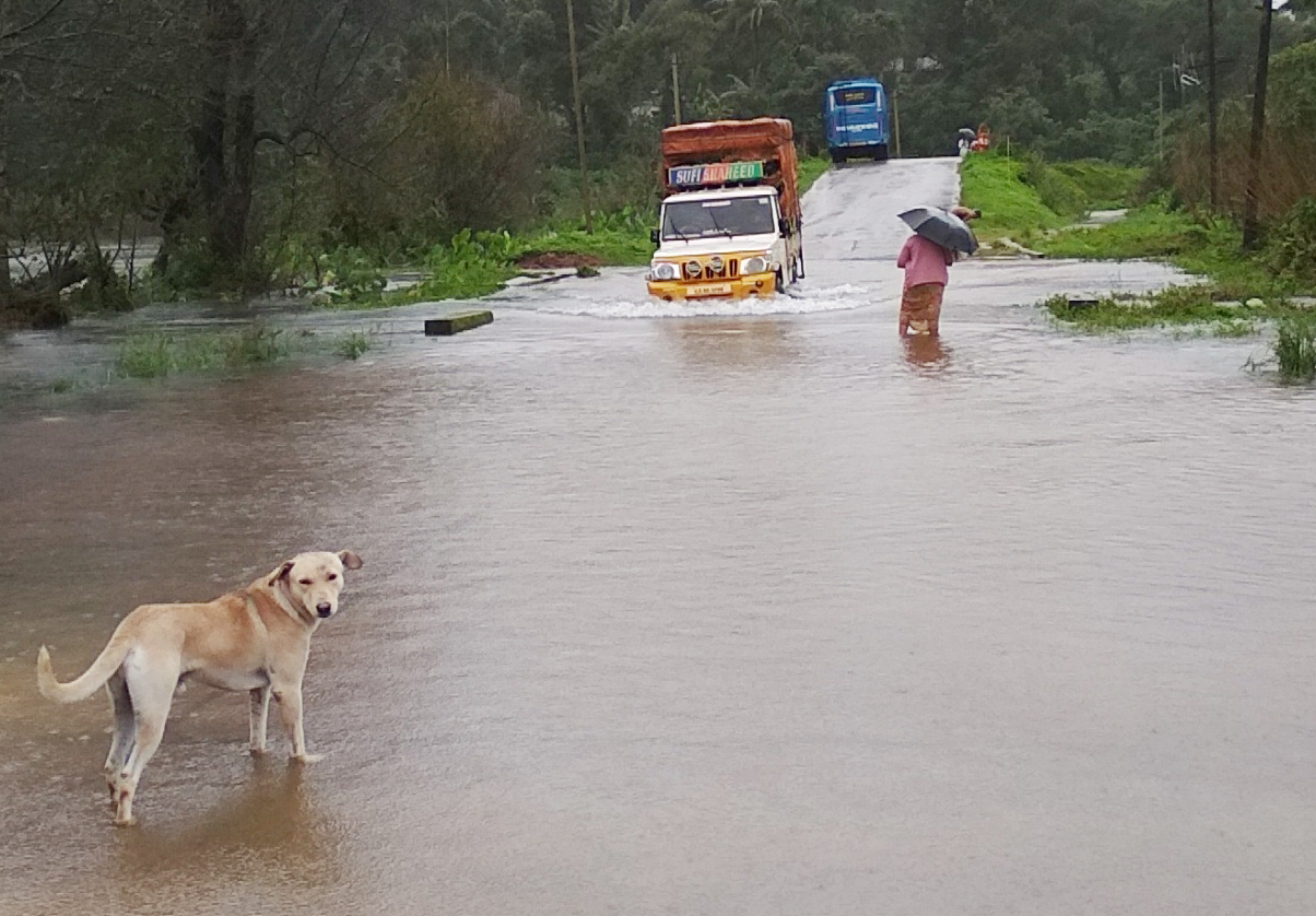 ಕೊಡಗಿನಲ್ಲಿ ಮಳೆಯ ಆರ್ಭಟ: ರಾಷ್ಟ್ರೀಯ ಹೆದ್ದಾರಿಯಲ್ಲಿ ವಾಹನ ಸಂಚಾರ ಅಸ್ತವ್ಯಸ್ತ