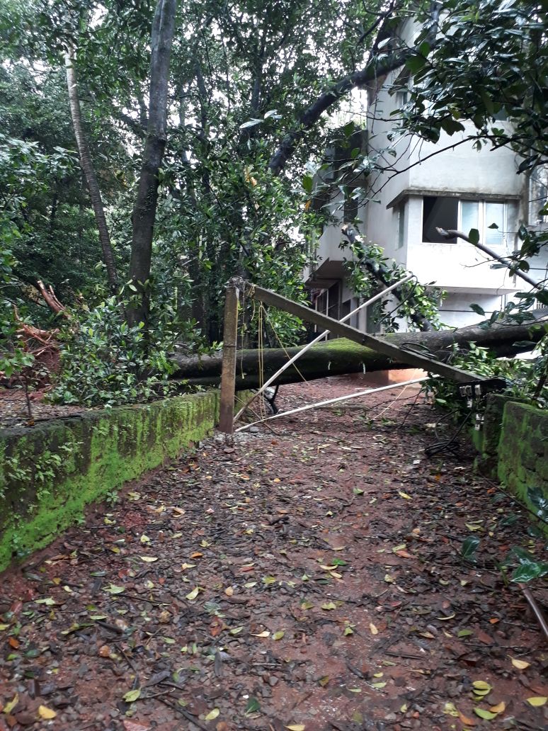 ದ.ಕ. ಜಿಲ್ಲೆಯಲ್ಲಿ ಮುಂದುವರಿದ ಭಾರೀ ಮಳೆ: ಲಕ್ಷಾಂತರ ರೂ. ಹಾನಿ