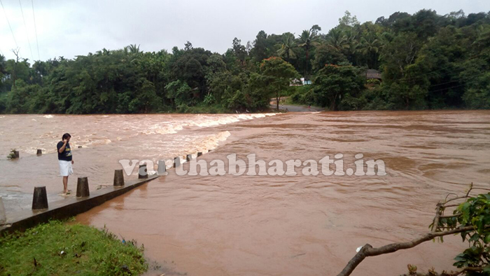 ಮಹಾಮಳೆಗೆ ಮಲೆನಾಡು ತತ್ತರ: ಅಪಾಯದ ಮಟ್ಟ ಮೀರಿ ಹರಿಯುತ್ತಿರುವ ತುಂಗಾ, ಭದ್ರಾ ನದಿಗಳು