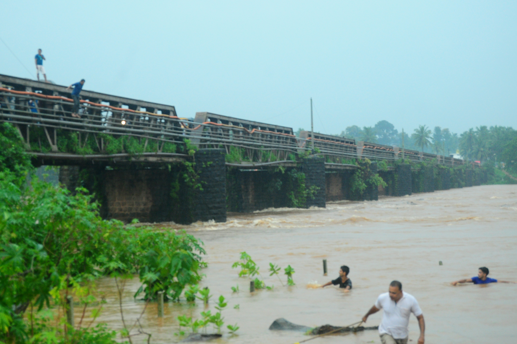 ತುಂಬಿ ಹರಿಯುತ್ತಿರುವ ನೇತ್ರಾವತಿ ನದಿಯಲ್ಲಿ ಯುವಕರ ಹುಚ್ಚು ಸಾಹಸ ಪ್ರದರ್ಶನ !