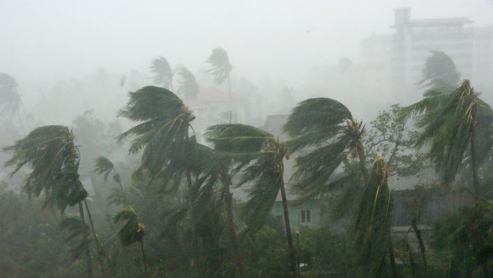 ಆ. 16: ಕಾಸರಗೋಡು ಜಿಲ್ಲೆಯ ಎಲ್ಲ ಶಾಲಾ-ಕಾಲೇಜುಗಳಿಗೆ ರಜೆ