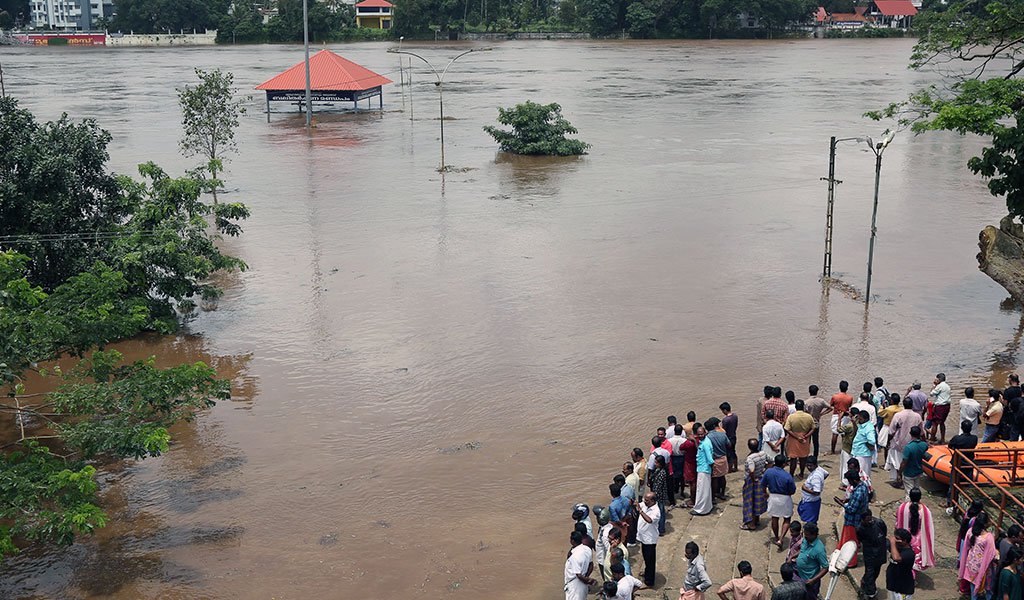 ಕೇರಳ: ಸಾಕಿದ್ದ 25 ನಾಯಿಗಳನ್ನು ಬಿಟ್ಟು ಪ್ರವಾಹಪೀಡಿತ ಪ್ರದೇಶದಿಂದ ತೆರಳಲು ನಿರಾಕರಿಸಿದ ಮಹಿಳೆ