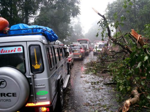 ಚಿಕ್ಕಮಗಳೂರು: ವರುಣನ ಆರ್ಭಟಕ್ಕೆ ವಿರಾಮ; ಮಲೆನಾಡಿನಲ್ಲಿ ನಿಟ್ಟುಸಿರು