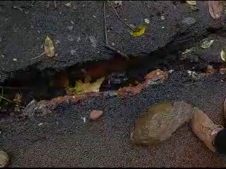 ಚಿಕ್ಕಮಗಳೂರು: ಮಳೆ ಕ್ಷೀಣಿಸಿದರೂ ನಿಲ್ಲದ ಭೂ ಕುಸಿತ