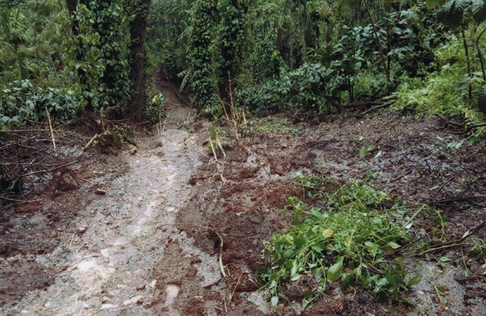 ಜಯಪುರ: ಗುಡ್ಡ ಕುಸಿದು ಅಡಿಕೆ ತೋಟಕ್ಕೆ ಹಾನಿ