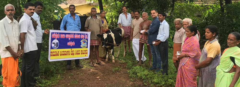 ಜಾನುವಾರುಗಳಿಗೆ ಉಚಿತ ಜಂತುಹುಳ ಔಷಧ ವಿತರಣೆ