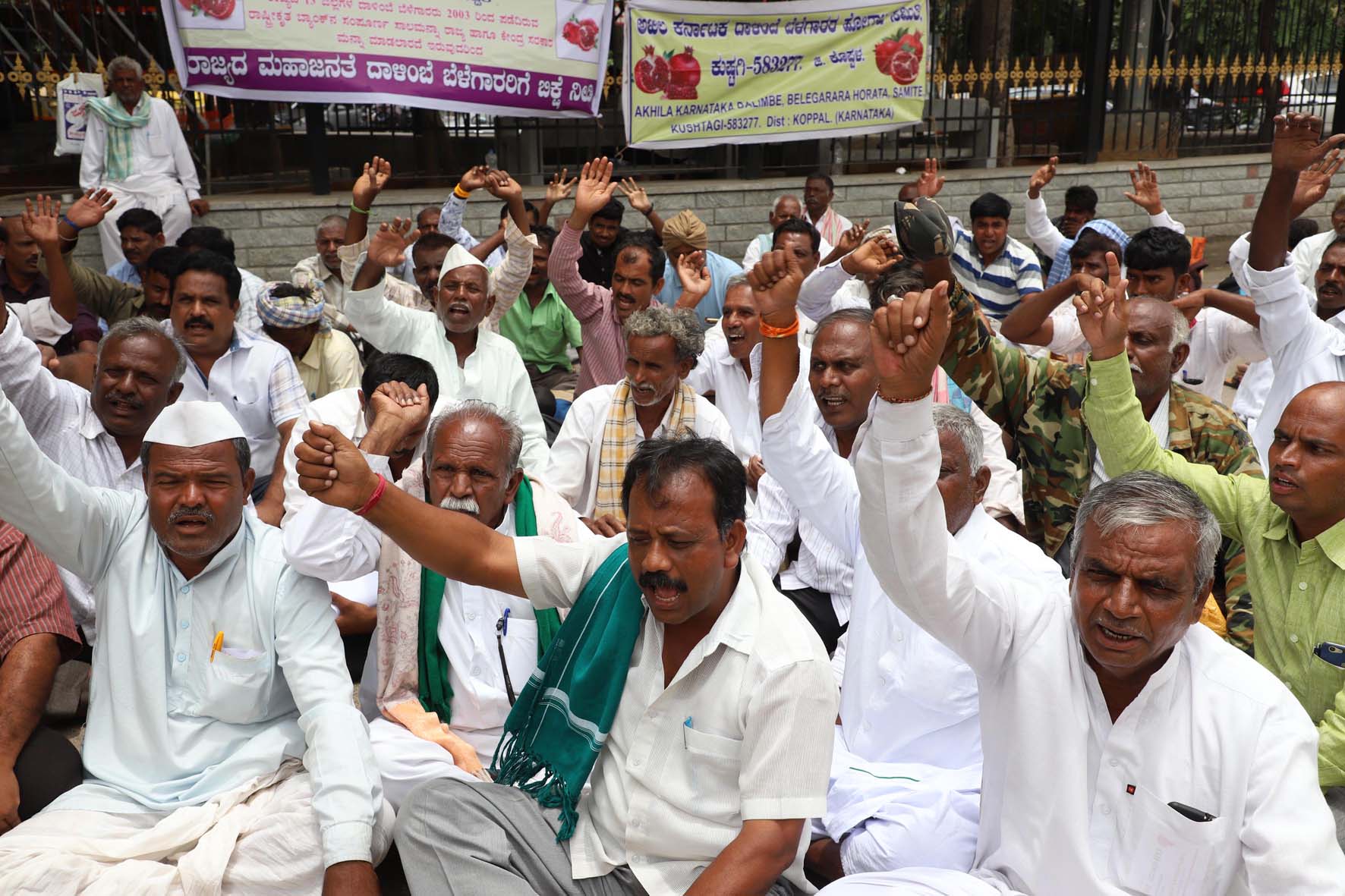 ದಾಳಿಂಬೆ ಬೆಳೆಗಾರರ ಸಾಲ ಮನ್ನಾಕ್ಕೆ ಒತ್ತಾಯಿಸಿ ಧರಣಿ