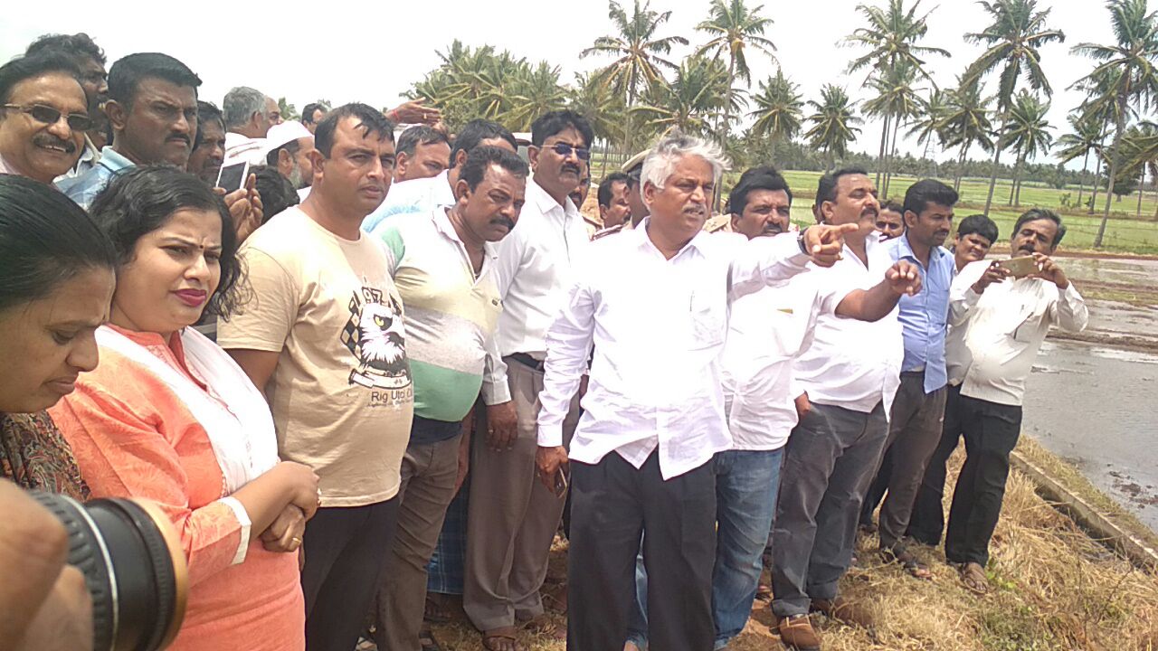 ಮಂಡ್ಯ: ಆ.11 ರಂದು ಭತ್ತದ ನಾಟಿಗೆ ಸಿಎಂ ಕುಮಾರಸ್ವಾಮಿ ಚಾಲನೆ