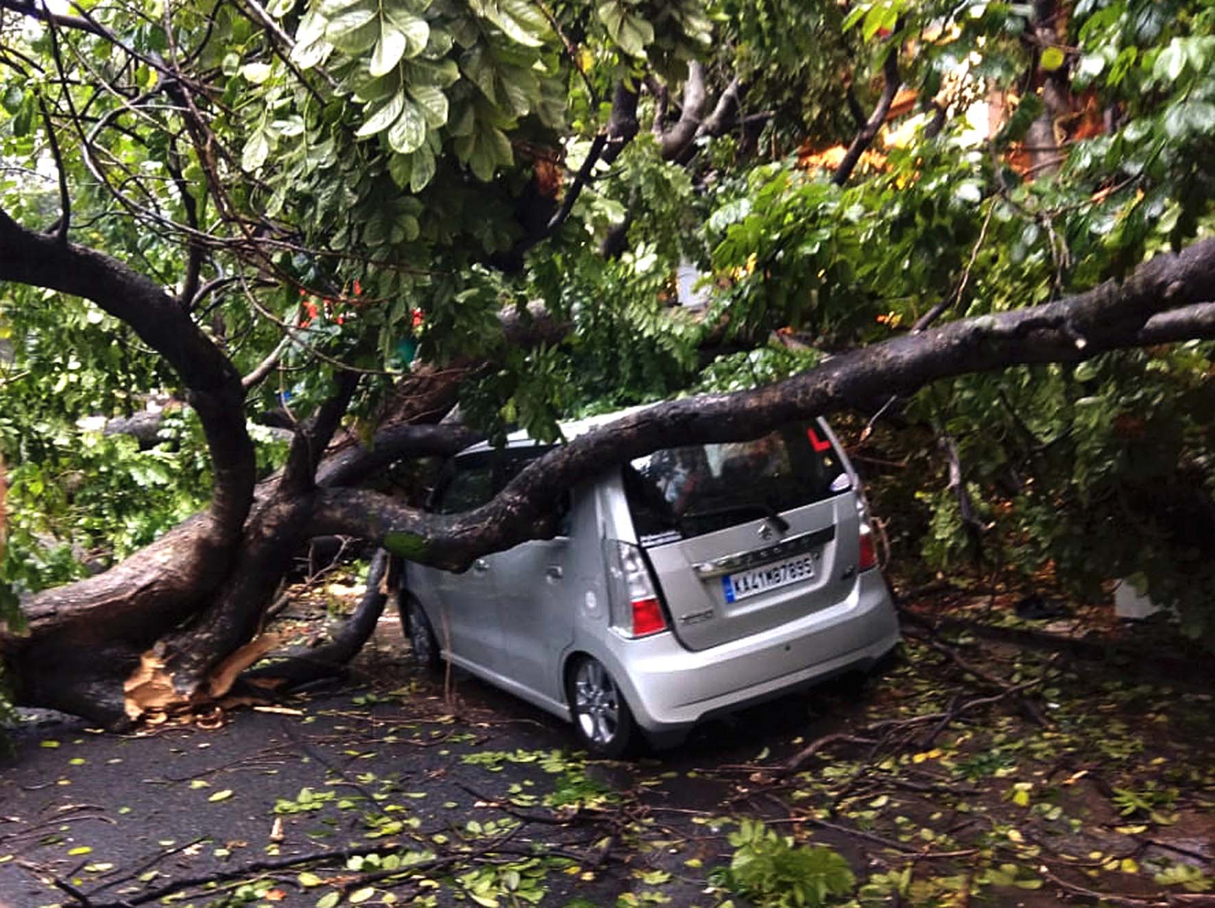 ರಾಜಧಾನಿಯಲ್ಲಿ ಧಾರಕಾರ ಮಳೆ: ಧರೆಗುರುಳಿದ ಮರಗಳು, ಸಂಚಾರ ದಟ್ಟಣೆ