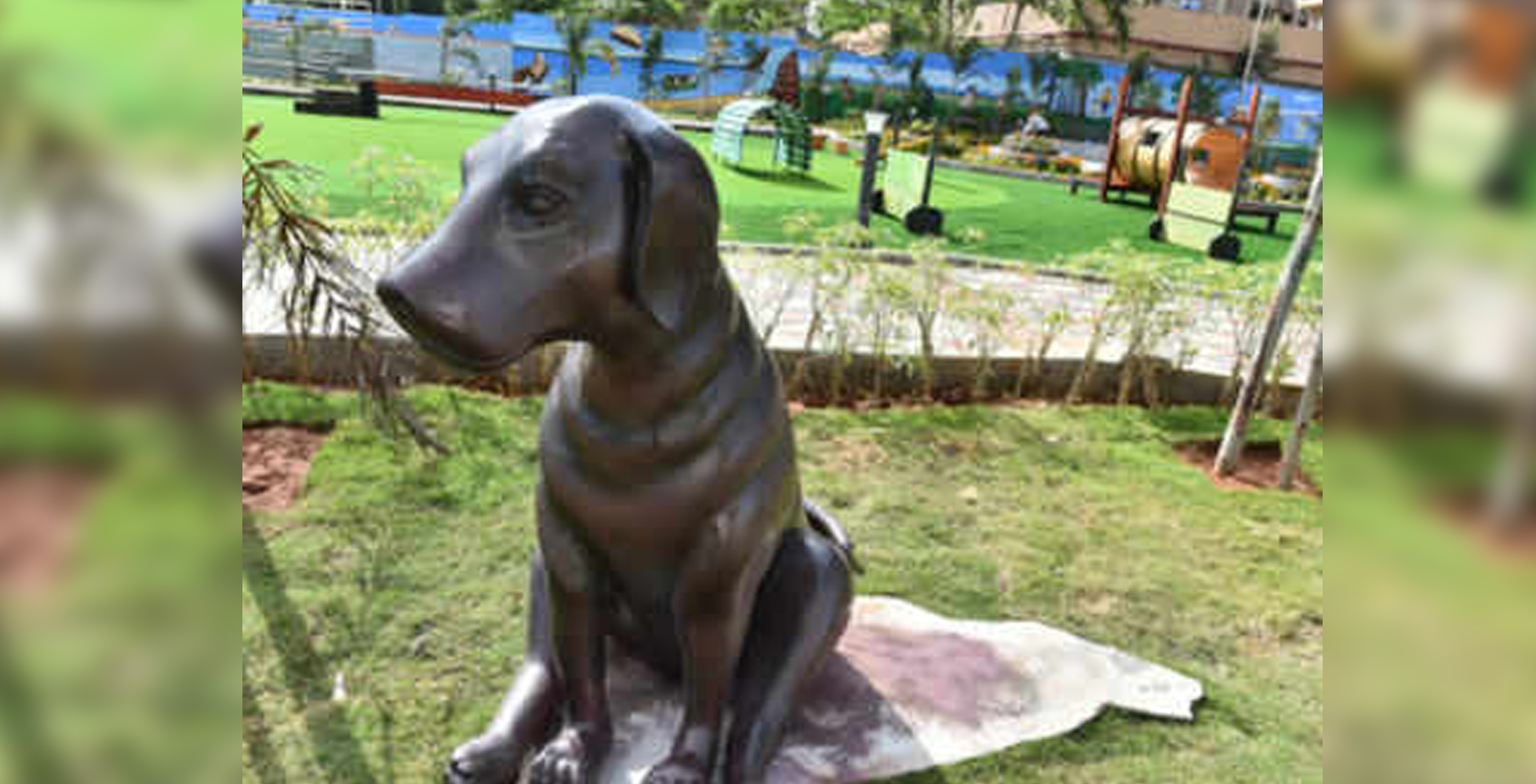 ಈ ನಗರದಲ್ಲಿ ಆರಂಭವಾಗಲಿದೆ ದೇಶದ ಮೊದಲ ನಾಯಿ ಪಾರ್ಕ್ !