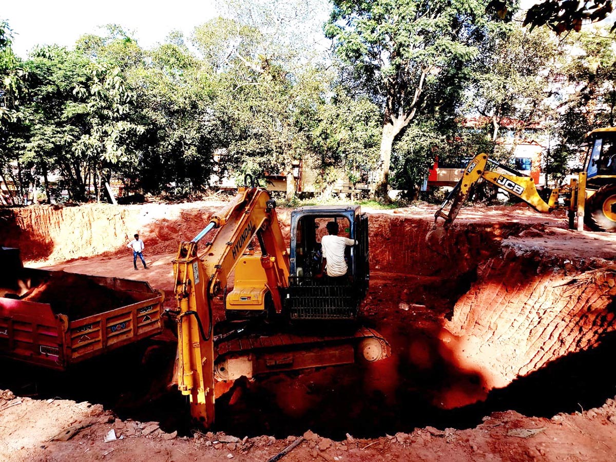 25ಕ್ಕೂ ಅಧಿಕ ಮರಗಳಿಗೆ ಕೊಡಲಿ: ಜಿಲ್ಲಾಧಿಕಾರಿಗಳಿಗೆ ಮನವಿ