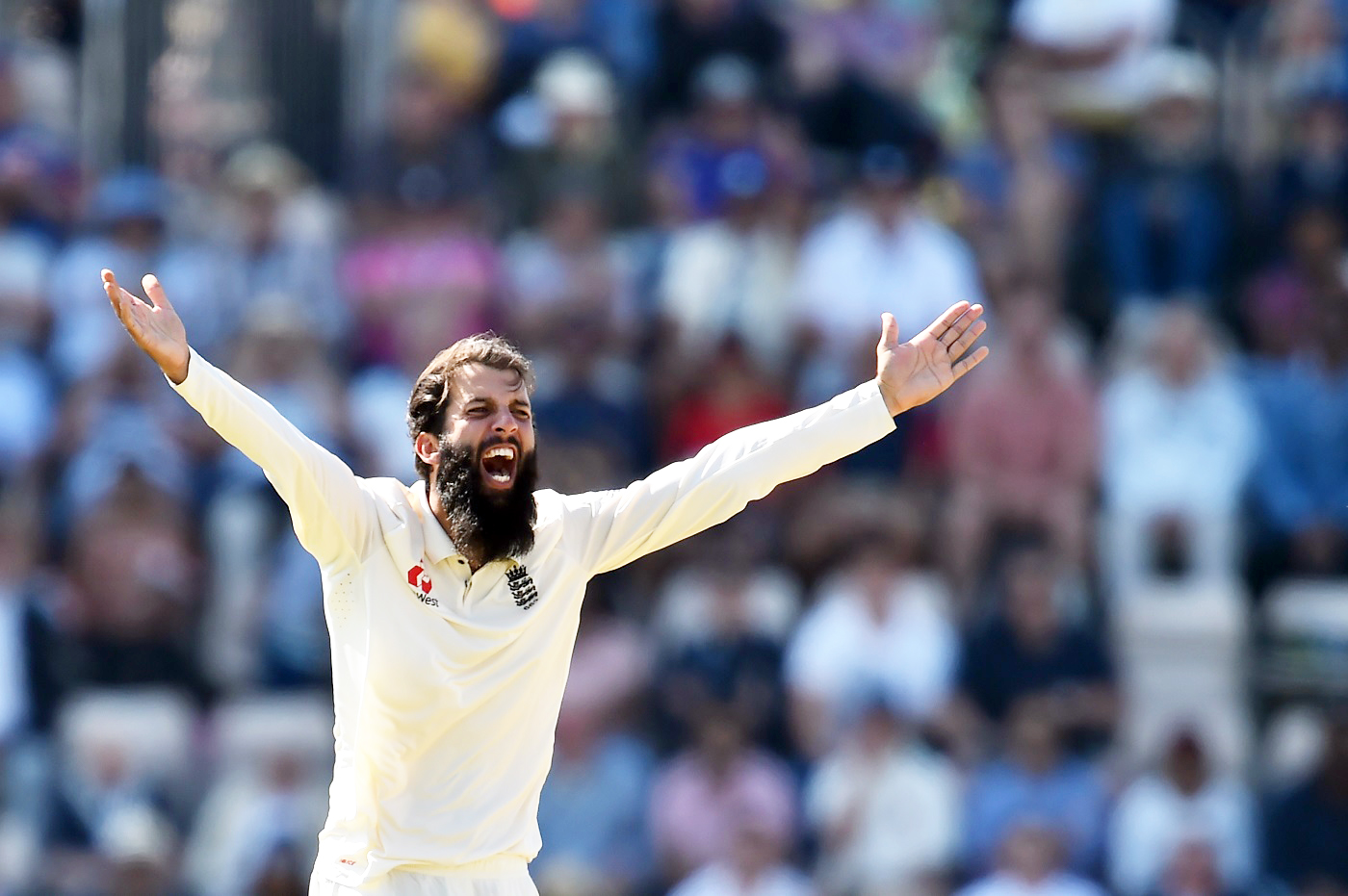 ಭಾರತಕ್ಕೆ ಸರಣಿ ಸೋಲು