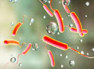 ನೈಜೀರಿಯದಲ್ಲಿ ಕಾಲರಾ; 97 ಸಾವು