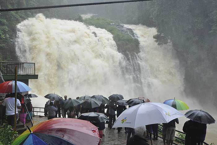 ಅಬ್ಬಿ ಜಲಪಾತ ವೀಕ್ಷಣೆ: ಲಘು ವಾಹನ ಸಂಚಾರಕ್ಕೆ ಅವಕಾಶ