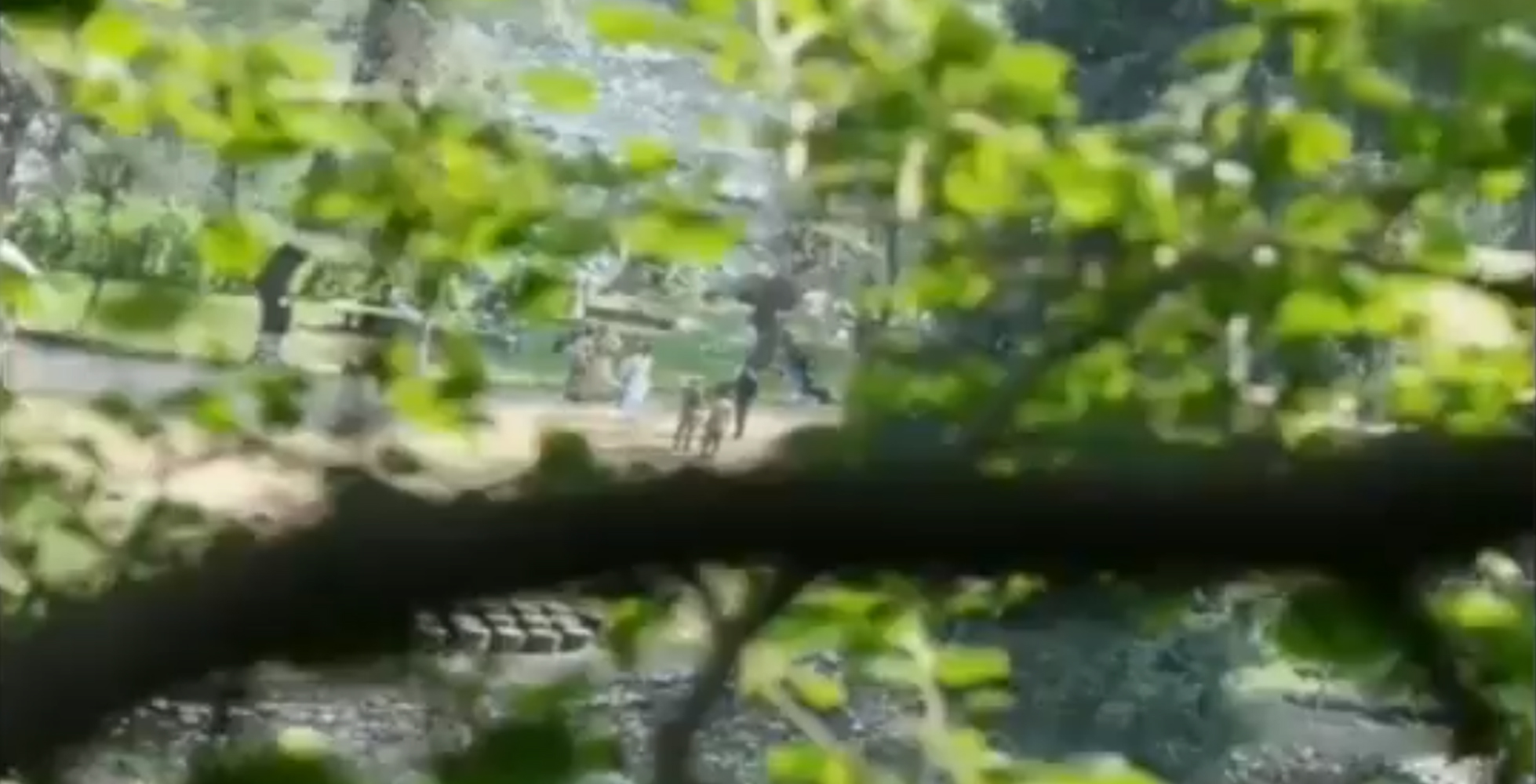 ಸರ್ಜಿಕಲ್ ದಾಳಿಯ ಹೊಸ ವೀಡಿಯೊ ಬಿಡುಗಡೆ ಮಾಡಿದ ಕೇಂದ್ರ ಸರಕಾರ