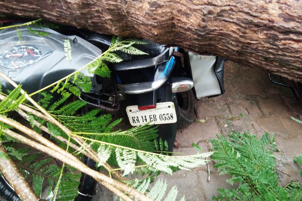 ಶಿವಮೊಗ್ಗ-ಭದ್ರಾವತಿಯಲ್ಲಿ ಗುಡುಗು ಸಹಿತ ಧಾರಾಕಾರ ಮಳೆ: ಜನಜೀವನ ಅಸ್ತವ್ಯಸ್ತ