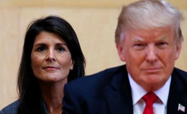 ನಿಕ್ಕಿ ಹೇಲಿ ಖಾಸಗಿ ಕ್ಷೇತ್ರದಲ್ಲಿ ಒಳ್ಳೆ ಹಣ ಮಾಡುತ್ತಾರೆ: ಟ್ರಂಪ್