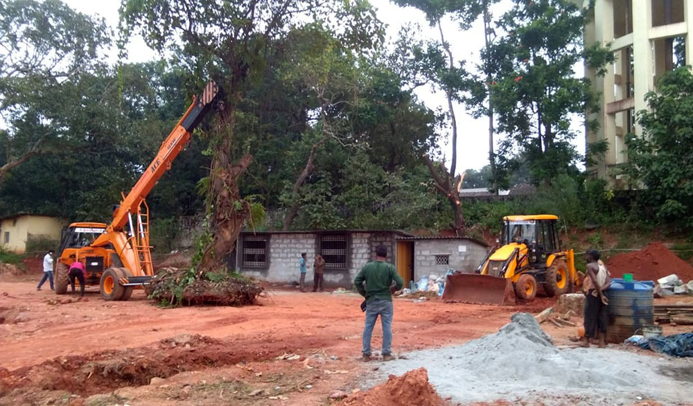 ಬನ್ನಂಜೆ ಬಸ್ ನಿಲ್ದಾಣದ ಕಾಮಗಾರಿ: 50 ವರ್ಷ ಹಳೆಯ ಮರಗಳ ಸ್ಥಳಾಂತರ