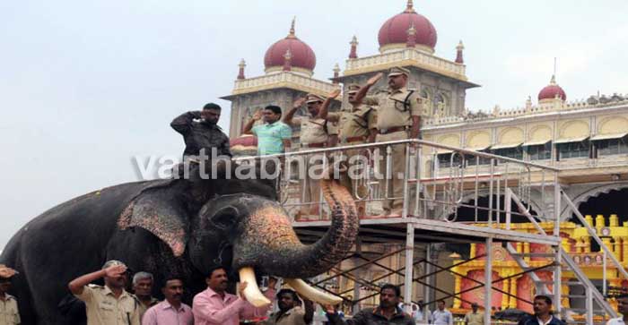 ವಿಜಯ ದಶಮಿ ಮೆರವಣಿಗೆಗೆ ದಿನಗಣನೆ: ಅರಮನೆ ಆವರಣದಲ್ಲಿ ಅಂತಿಮ ಹಂತದ ತಾಲೀಮು