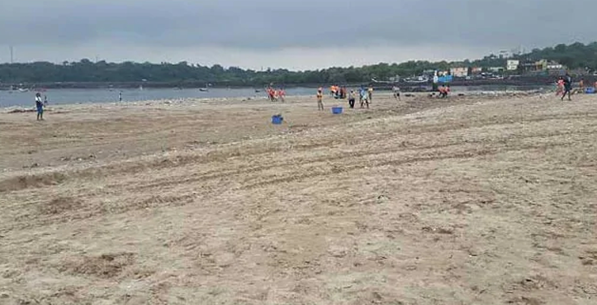 ಇಬ್ಬರು ಕ್ರಿಮಿನಲ್ ಆರೋಪಿಗಳಿಗೆ ಬೀಚ್ ಸ್ವಚ್ಛಗೊಳಿಸುವ ಶಿಕ್ಷೆ ನೀಡಿದ ಹೈಕೋರ್ಟ್