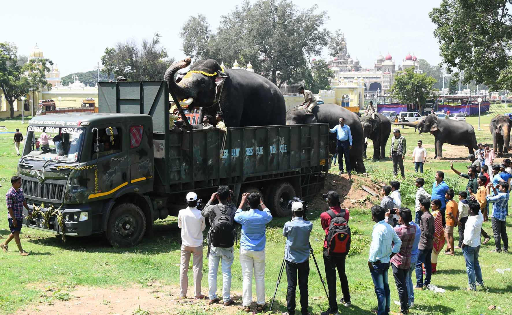 ಕಾಡಿನತ್ತ ತೆರಳಿದ ದಸರಾ ಗಜಪಡೆಗಳು: ಜಿಲ್ಲಾಡಳಿತದಿಂದ ಗೌರವಧನದ ಚೆಕ್ ವಿತರಣೆ