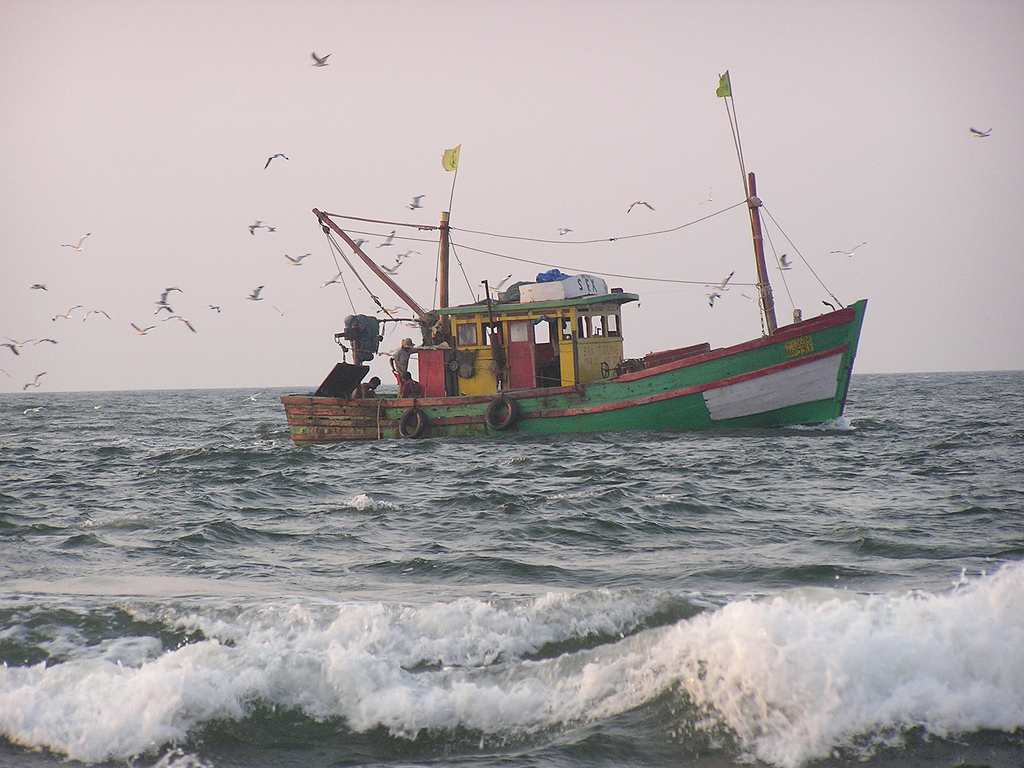 ಉಳ್ಳಾಲ: ತಮಿಳ್ನಾಡು ಮೂಲದ 6 ದೋಣಿಗಳ ವಶ