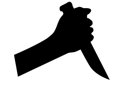 ಕಾರ್ಕಳ: ಚೂರಿಯಿಂದ ಇರಿದು ಸ್ನೇಹಿತನ ಕೊಲೆ; ಆರೋಪಿಯ ಬಂಧನ