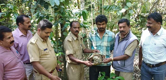 ಮಡಿಕೇರಿ: ಉರುಳು ಬಳಸಿ ಕಾಡು ಕುರಿ ಬೇಟೆ; ಆರೋಪಿ ಸೆರೆ