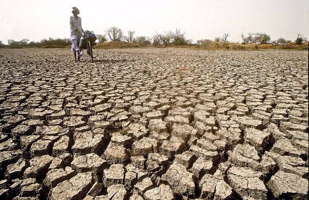 ರಾಜ್ಯದಲ್ಲಿ 100 ತಾಲೂಕು ಬರಪೀಡಿತ: ಆರ್ಥಿಕ ನೆರವು ಕೋರಿ ಕೇಂದ್ರಕ್ಕೆ ಮನವಿ ಸಲ್ಲಿಸಿದ ರಾಜ್ಯ ಸರಕಾರ