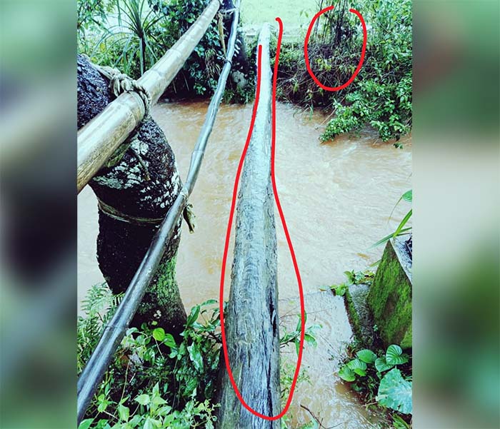 ಕಳಸ: ಹಳ್ಳ ದಾಟಲು ಕಾಲುಸಂಕದಲ್ಲಿ ಸರ್ಕಸ್ ಮಾಡುವ ದಲಿತ ಕಾಲನಿ ನಿವಾಸಿಗಳು