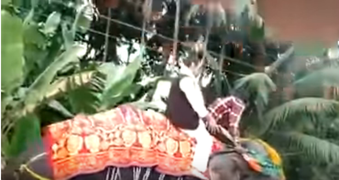 ಸ್ವಾಗತ ಕಾರ್ಯಕ್ರಮದಲ್ಲಿ ಆನೆ ಮೇಲಿಂದ ಬಿದ್ದ ಉಪ ಸ್ಪೀಕರ್ !