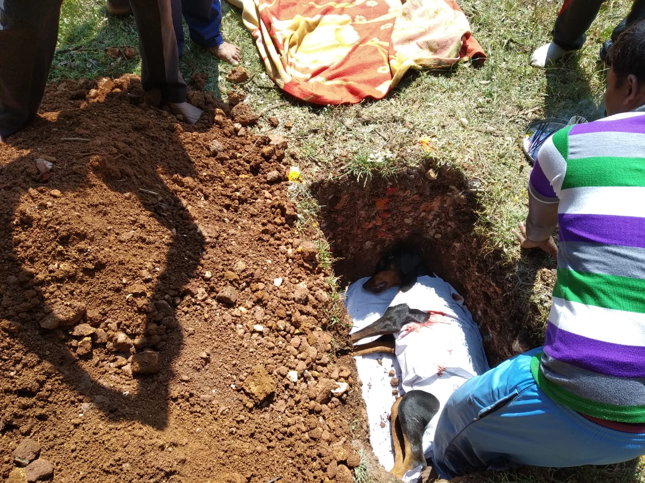 ಚಿಕ್ಕಮಗಳೂರು: ಪೊಲೀಸರ ಅಚ್ಚುಮೆಚ್ಚಿನ ಶ್ವಾನ ‘ಡೈಸಿ’ ಮೃತ್ಯು