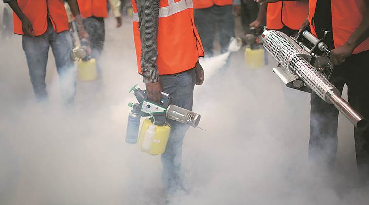 80 ಶೇ. ಮಲೇರಿಯ ಪ್ರಕರಣಗಳು ಭಾರತ, ಆಫ್ರಿಕ ದೇಶಗಳಲ್ಲಿ: ವಿಶ್ವ ಆರೋಗ್ಯ ಸಂಸ್ಥೆ ವರದಿ