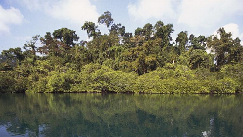 ಅಂಡಮಾನ್‌ನಲ್ಲಿ ಬುಡಕಟ್ಟು ಜನರಿಂದ ಅಮೆರಿಕನ್ ಪ್ರವಾಸಿಯ ಹತ್ಯೆ