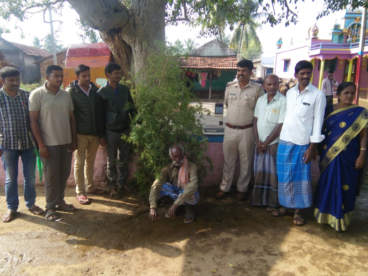 ಹನೂರು: ಗಾಂಜಾ ಬೆಳೆದಿದ್ದ ವ್ಯಕ್ತಿಯ ಬಂಧನ