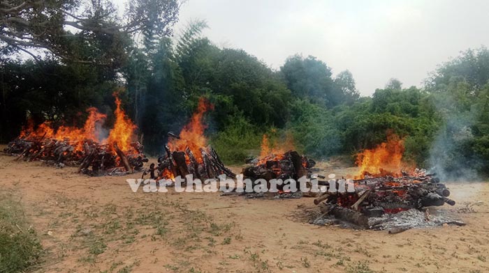 ಮಂಡ್ಯ ಬಸ್ ದುರಂತದಲ್ಲಿ ಮಡಿದವರ ಗ್ರಾಮಗಳಲ್ಲಿ ನೀರವ ಮೌನ