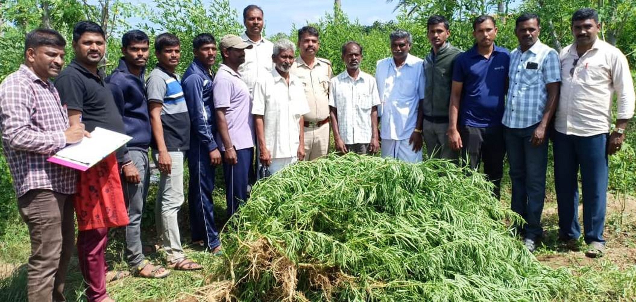ಹನೂರು: ಜಮೀನಿನಲ್ಲಿ ಗಾಂಜಾ ಬೆಳೆದ ಮೂವರ ಬಂಧನ