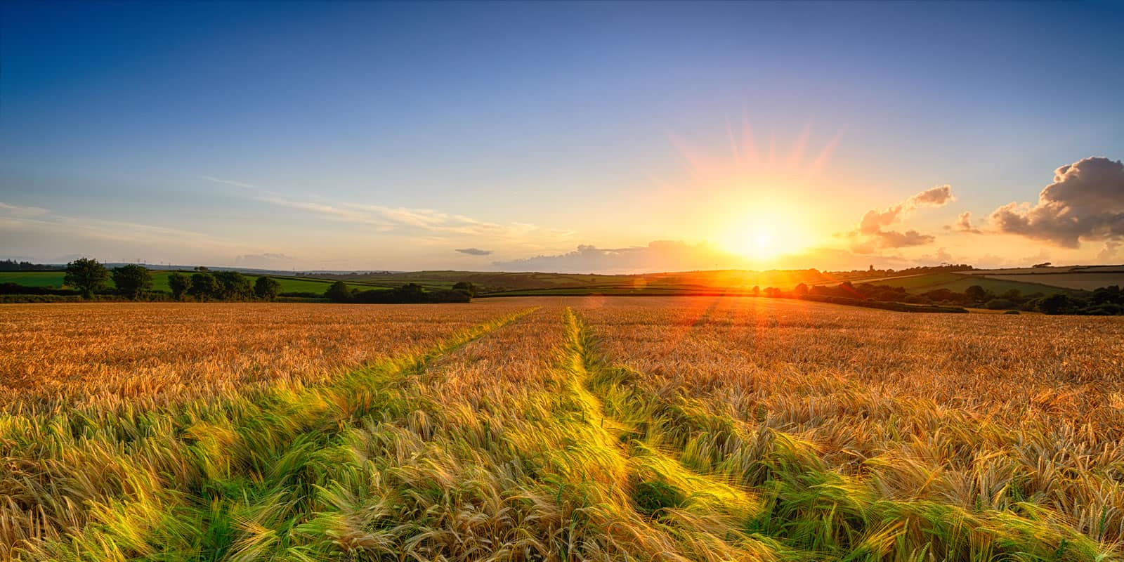 ರೈತರಿಗೆ 40 ಸಾವಿರ ಎಕರೆ ಭೂಮಿ ಹಿಂದಿರುಗಿಸಲು ರಾಜ್ಯ ಸರಕಾರ ಚಿಂತನೆ