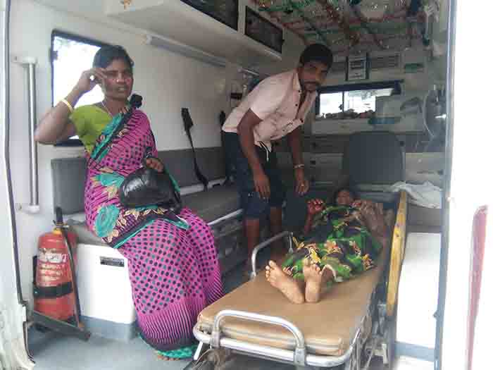 ಹನೂರು: ಕಾಡು ಹಂದಿ ದಾಳಿ; ರೈತ ಮಹಿಳೆಗೆ ಗಾಯ