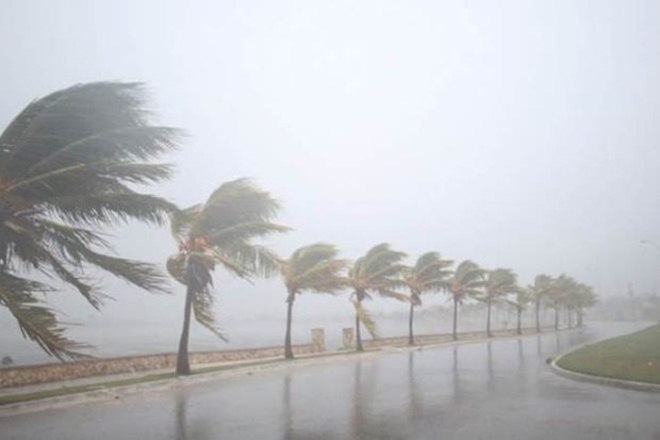 ಗಜ ಚಂಡಮಾರುತ: ತಮಿಳುನಾಡಿಗೆ 353 ಕೋ. ರೂ. ಬಿಡುಗಡೆಗೆ ಕೇಂದ್ರ ಅನುಮೋದನೆ