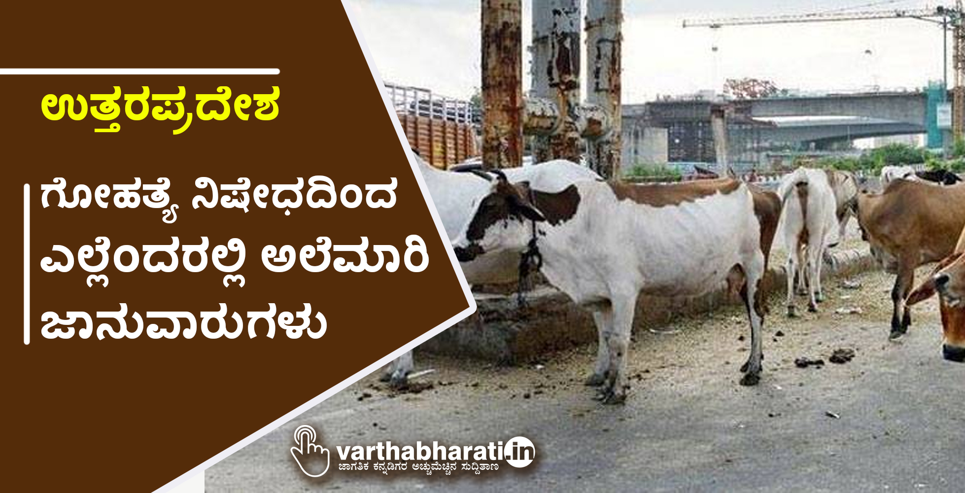 ಉತ್ತರಪ್ರದೇಶ: ಗೋಹತ್ಯೆ ನಿಷೇಧದಿಂದ ಎಲ್ಲೆಂದರಲ್ಲಿ ಅಲೆಮಾರಿ ಜಾನುವಾರುಗಳು
