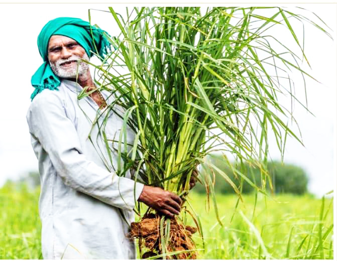 ಸರಕಾರದ ನೆರವನ್ನೇ ಪಡೆಯದೆ ಕೃಷಿಯಲ್ಲಿ ಗೆದ್ದ ಪ್ರಶಸ್ತಿ ಪುರಸ್ಕೃತ ಮೂಕಪ್ಪ