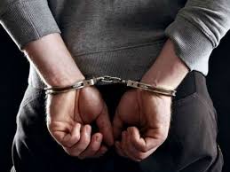 ಭೀಮಾ ಕೋರೆಗಾಂವ್: ಹೋರಾಟಗಾರ ವಿರುದ್ಧದ ದೋಷಾರೋಪಣೆಯಲ್ಲಿ ಹಲವು ಲೋಪಗಳು