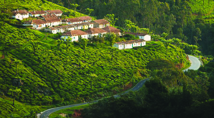 ನೀಲಗಿರಿ ಮತ್ತು ಕನ್ನಡಿಗರು