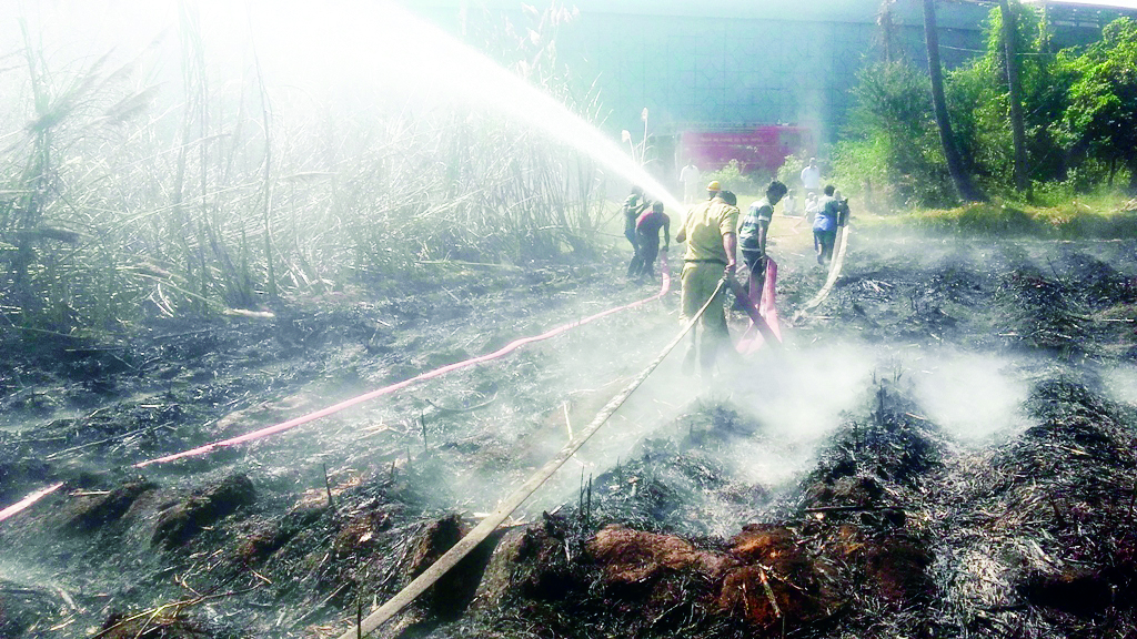 ಆಕಸ್ಮಿಕ ಬೆಂಕಿ: 4 ಲಕ್ಷ ರೂ. ವೌಲ್ಯದ ಕಬ್ಬು ಭಸ್ಮ