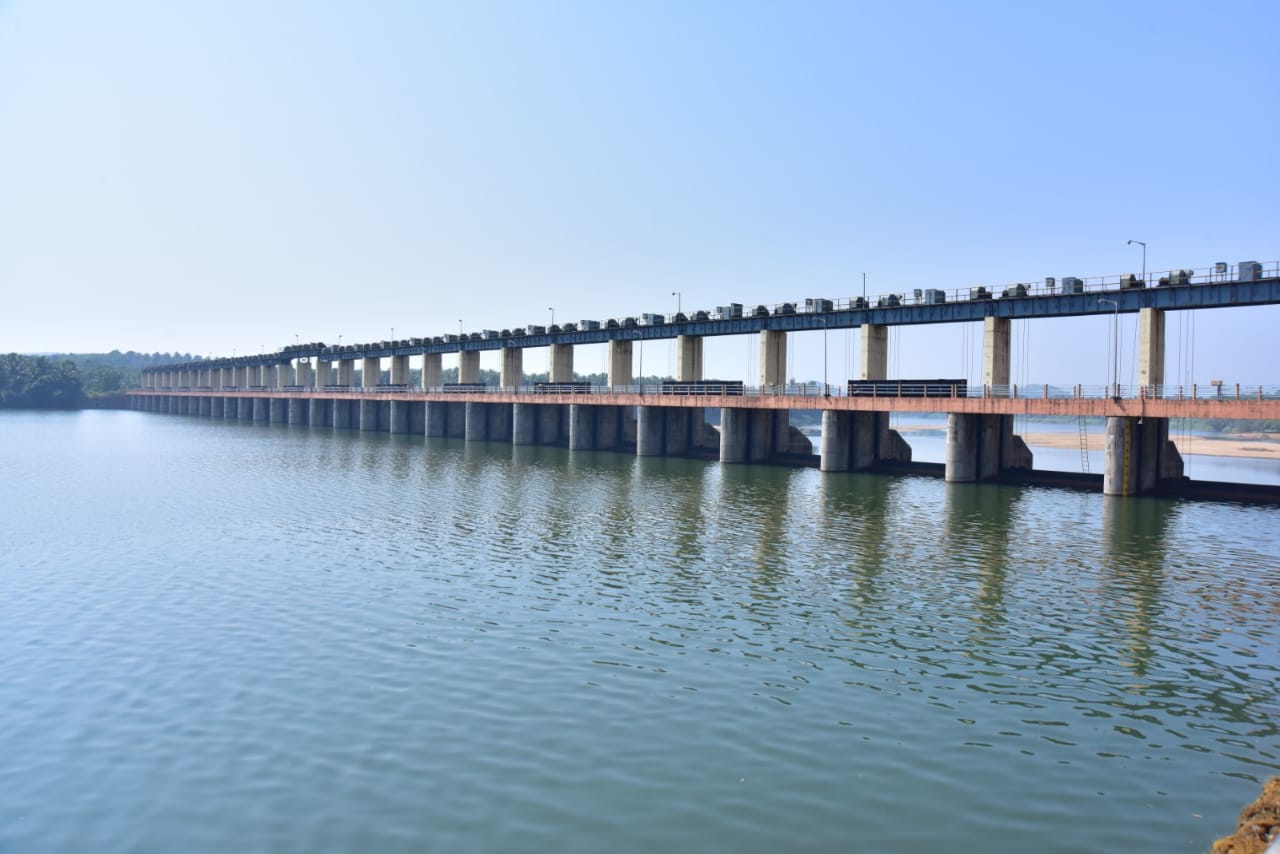 ತುಂಬೆ ಅಣೆಕಟ್ಟು ಪರಿಸರದಲ್ಲಿ ವಿದೇಶಿ ಪಕ್ಷಿಗಳ ಕಲರವ!