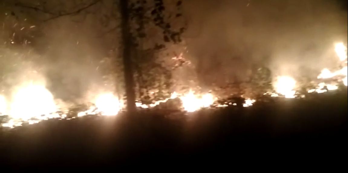 ​ಮಾಣಿಪಲ್ಲ ಗುಡ್ಡಕ್ಕೆ ಬೆಂಕಿ: ಹೊತ್ತಿ ಉರಿಯುತ್ತಿರುವ ಗಿಡಮರಗಳು