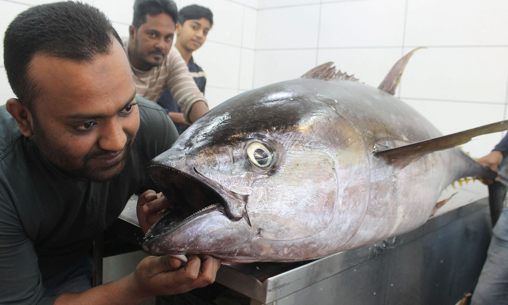 85 ಕೆಜಿ ತೂಕದ ಈ ವಿಶೇಷ ಮೀನಿಗೆ ಭಾರೀ ಬೇಡಿಕೆ
