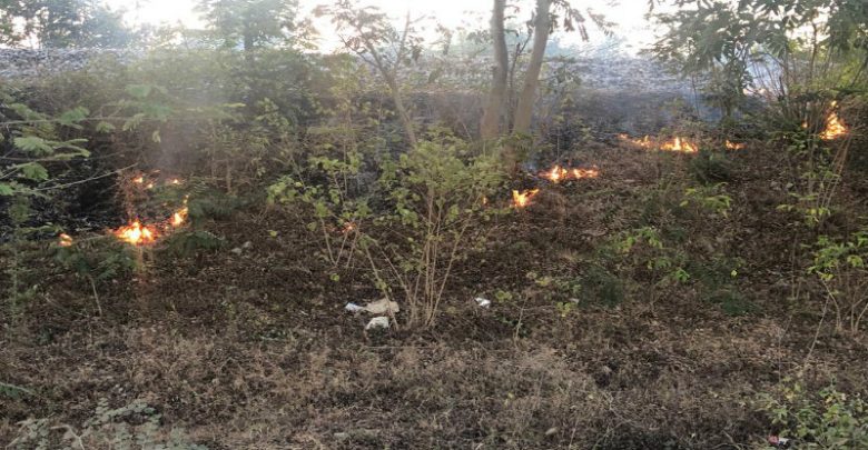 ಕುಕ್ಕರಹಳ್ಳಿ ಕೆರೆ ಪ್ರದೇಶದಲ್ಲಿ ಬೆಂಕಿ: ಒಂದು ಎಕರೆ ಪ್ರದೇಶ ಬೆಂಕಿಗಾಹುತಿ