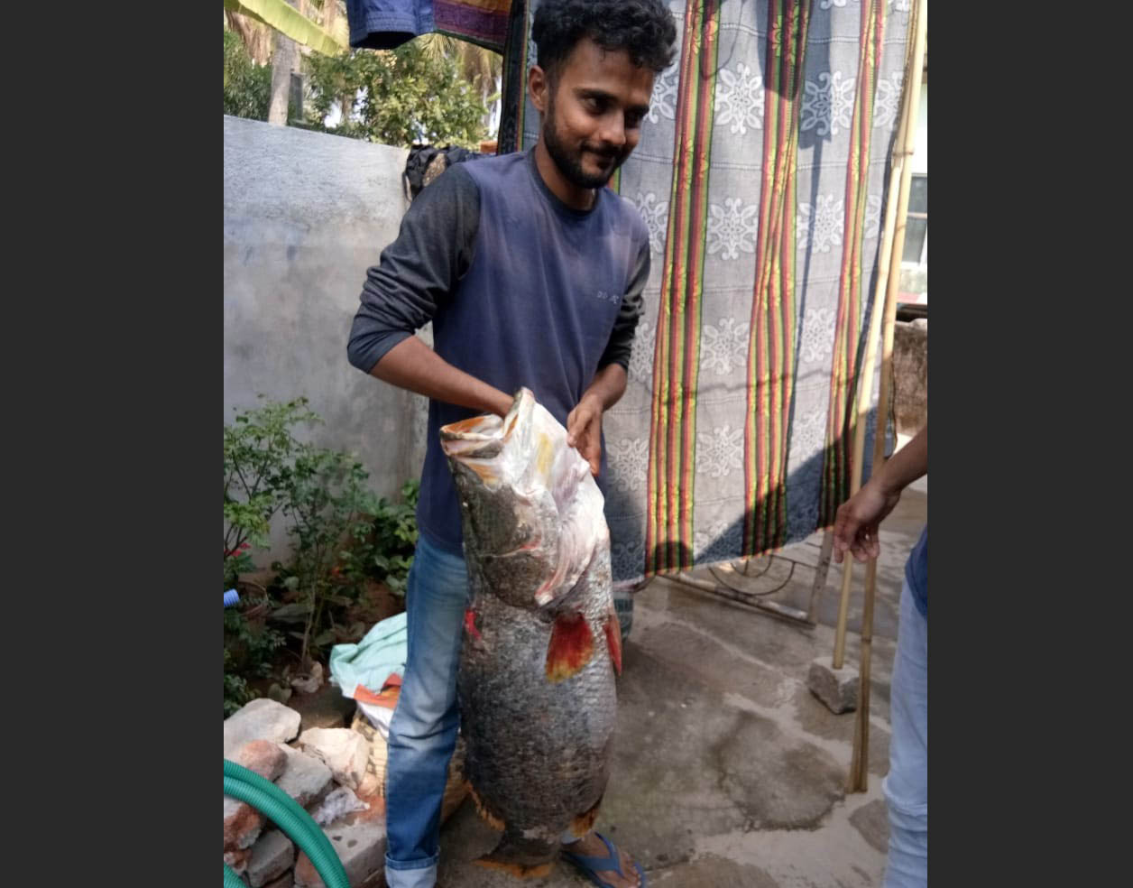 ಮಲ್ಪೆ: ಗಾಳಕ್ಕೆ ಸಿಕ್ಕಿದ 16 ಕೆ.ಜಿ. ತೂಗುವ ಮೀನು